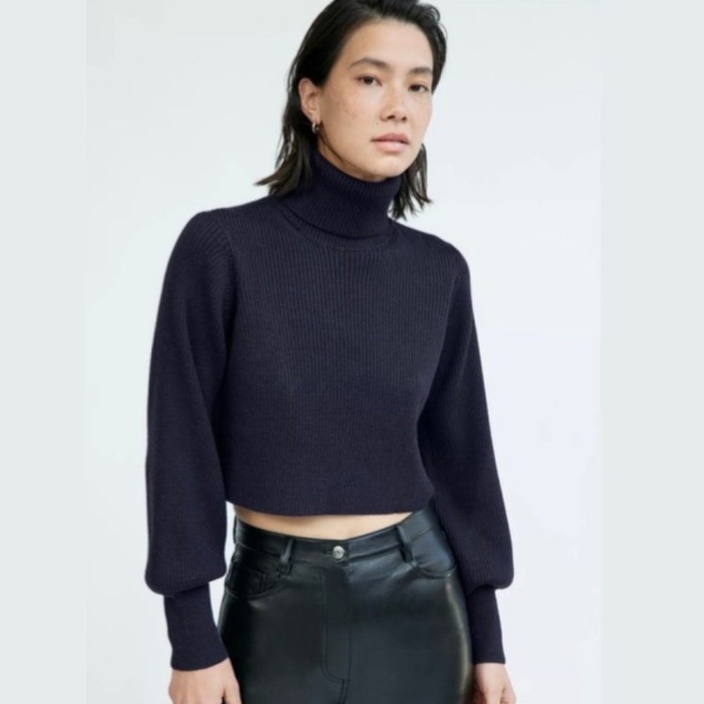 aritzia x Wilfred rebecca turtleneck sweater crop